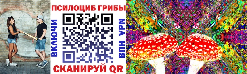 дарнет шоп  Карабулак  Псилоцибиновые грибы GOLDEN TEACHER 