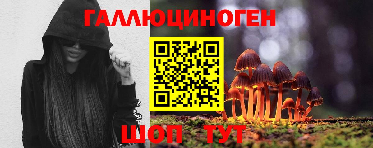 Псилоцибиновые грибы Magic Shrooms  Галлюциногенные грибы Psilocybine cubensis  Карабулак 
