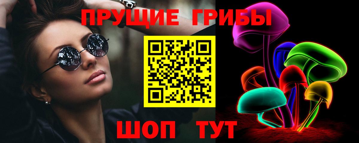 Псилоцибиновые грибы Psilocybe Карабулак